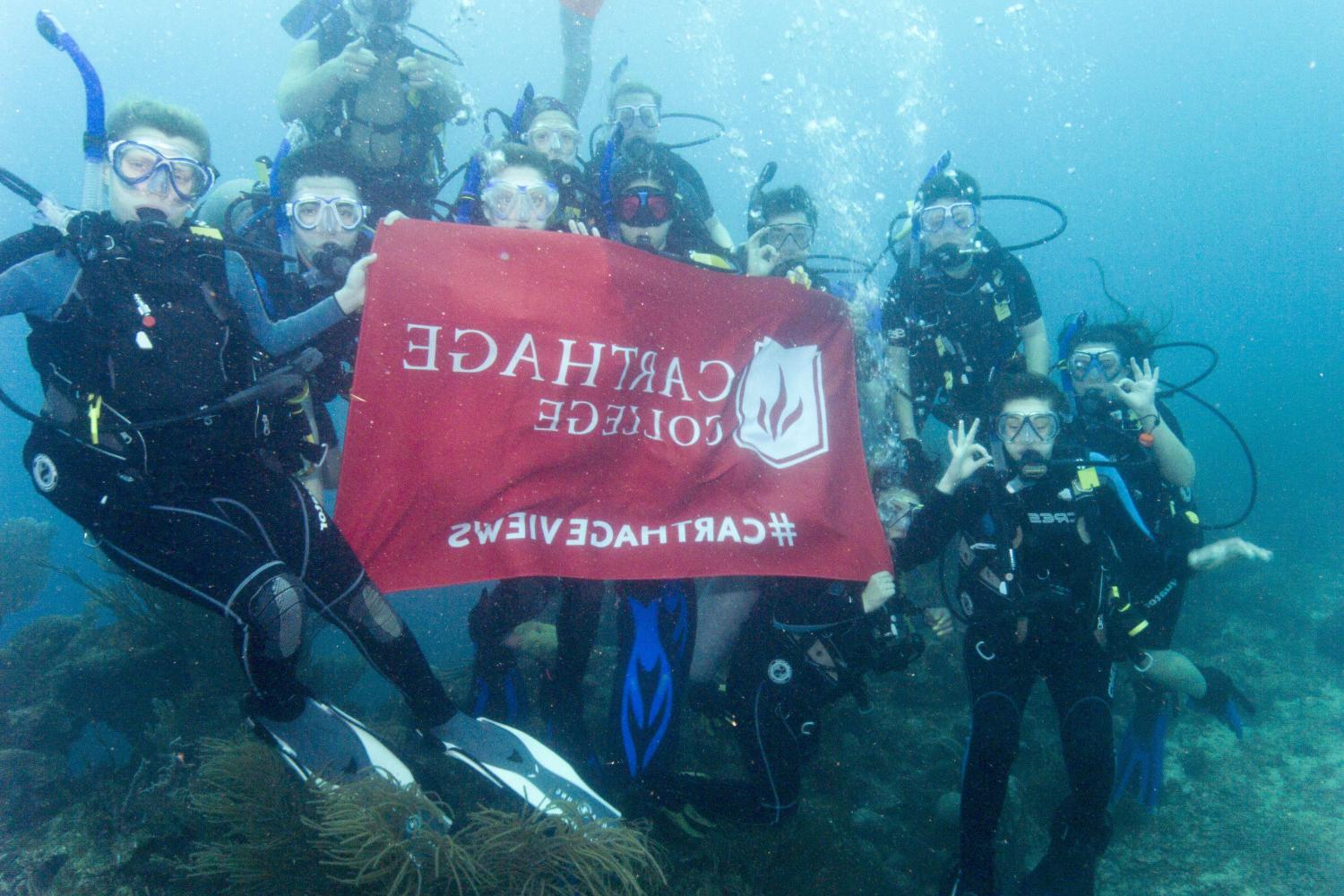 学生们手持<a href='http://oiyu.ngskmc-eis.net'>bv伟德ios下载</a>旗帜，在j学期洪都拉斯游学之旅中潜水.